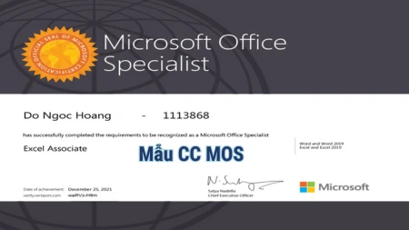 Luyện thi MOS & Chứng chỉ MOS Excel 2019